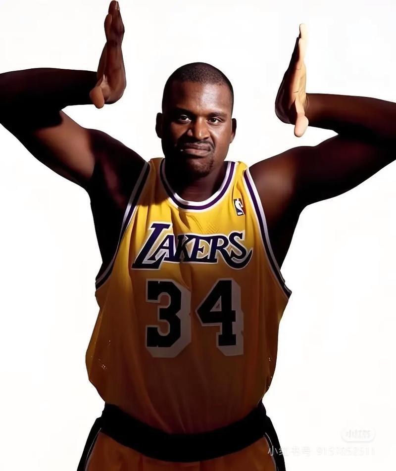 守望先锋国际赛事重启